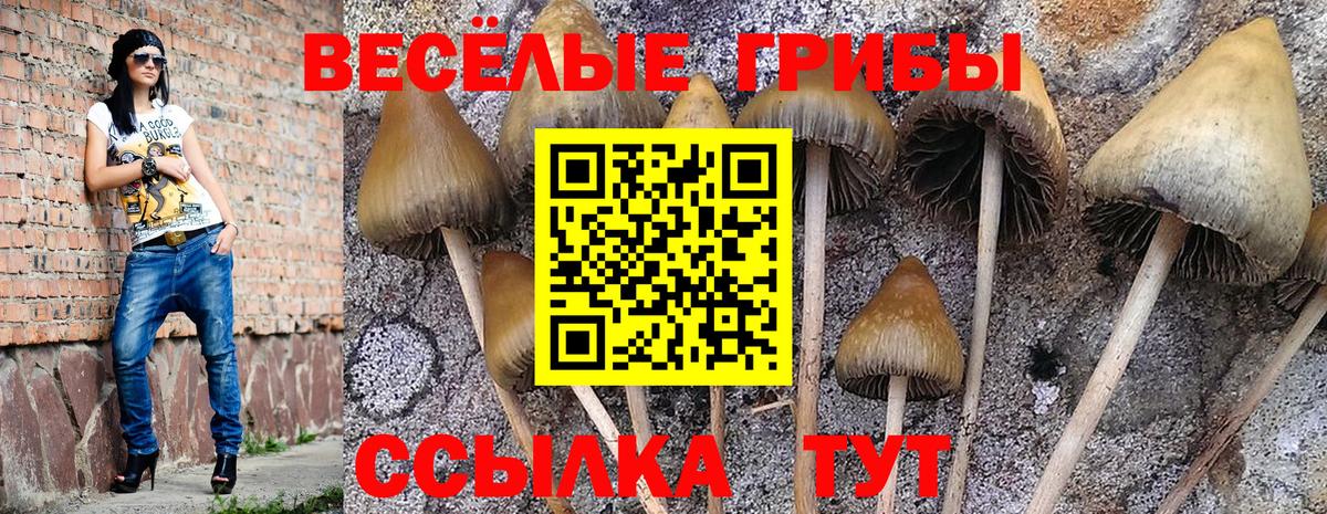 Псилоцибиновые грибы ЛСД  Вход с VPN  Воркута 